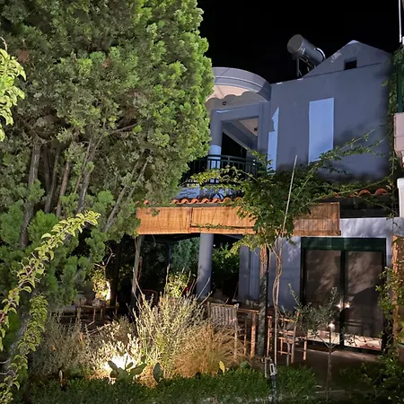 Blue House 30m From The With Sea View *